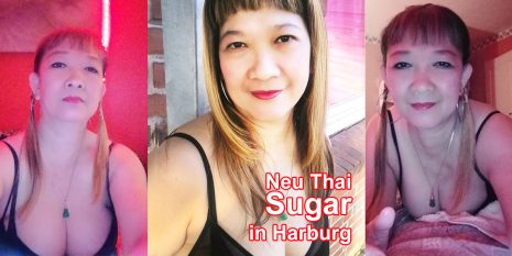 Thai Sugar Harburg Osterbaum 22 T.: 017683285490