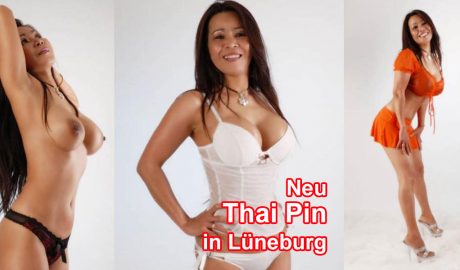 Neu Thai Pin Lüneburg Goseburgstraße 50  T. 015212475684